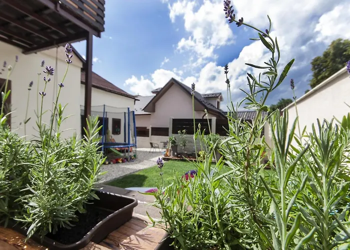 ホームステイ Levial