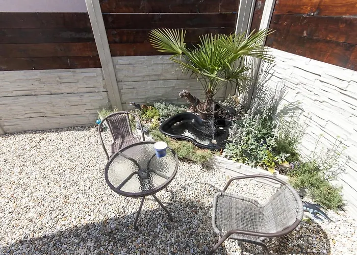 Levial ホームステイ