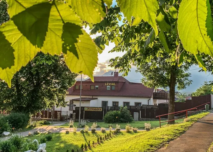 Levial Veľký Slavkov