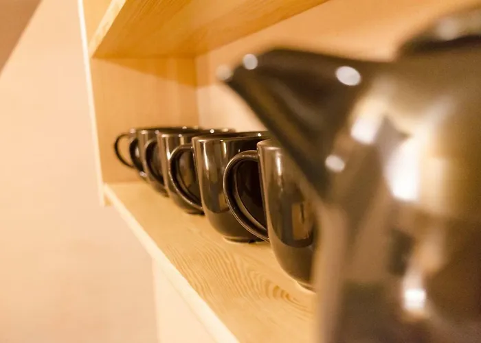 ホームステイ Levial *